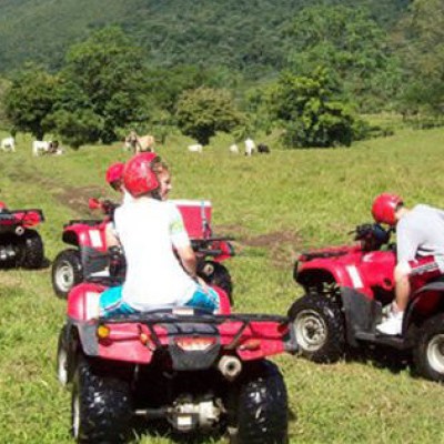 people riding ATVs in a lush green landscape