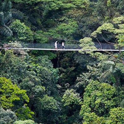 people walking on a suspension bridge over jungle in costa rica