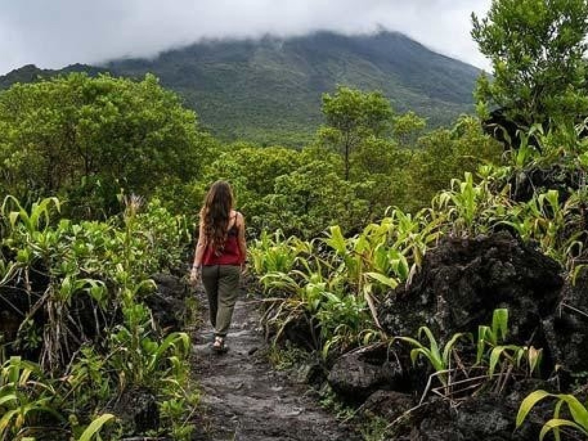 woman from behind walking in jungle landscape of costa rica