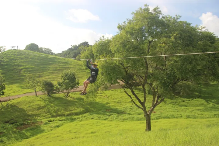 a giraffe standing on top of a lush green field